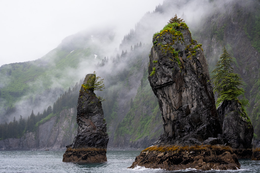 Sea Mounts Valdez - Alaska by Kathryn Engle