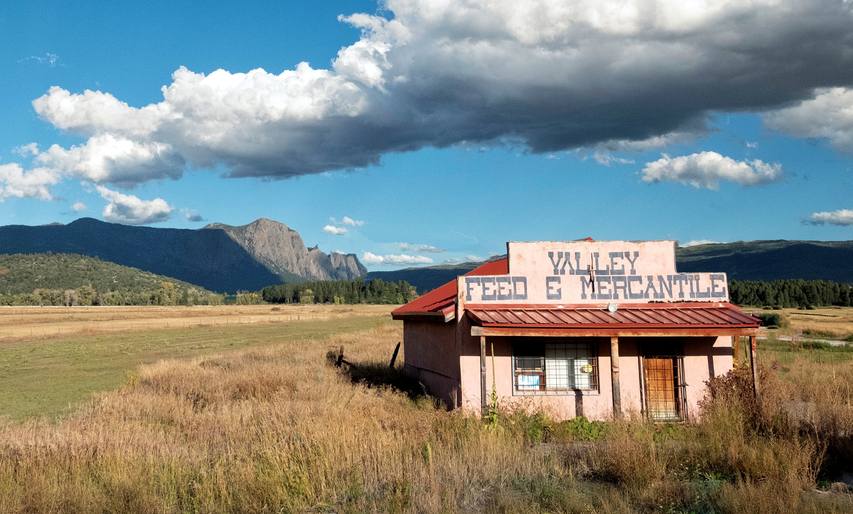 Feed Store by Kirk Gulledge