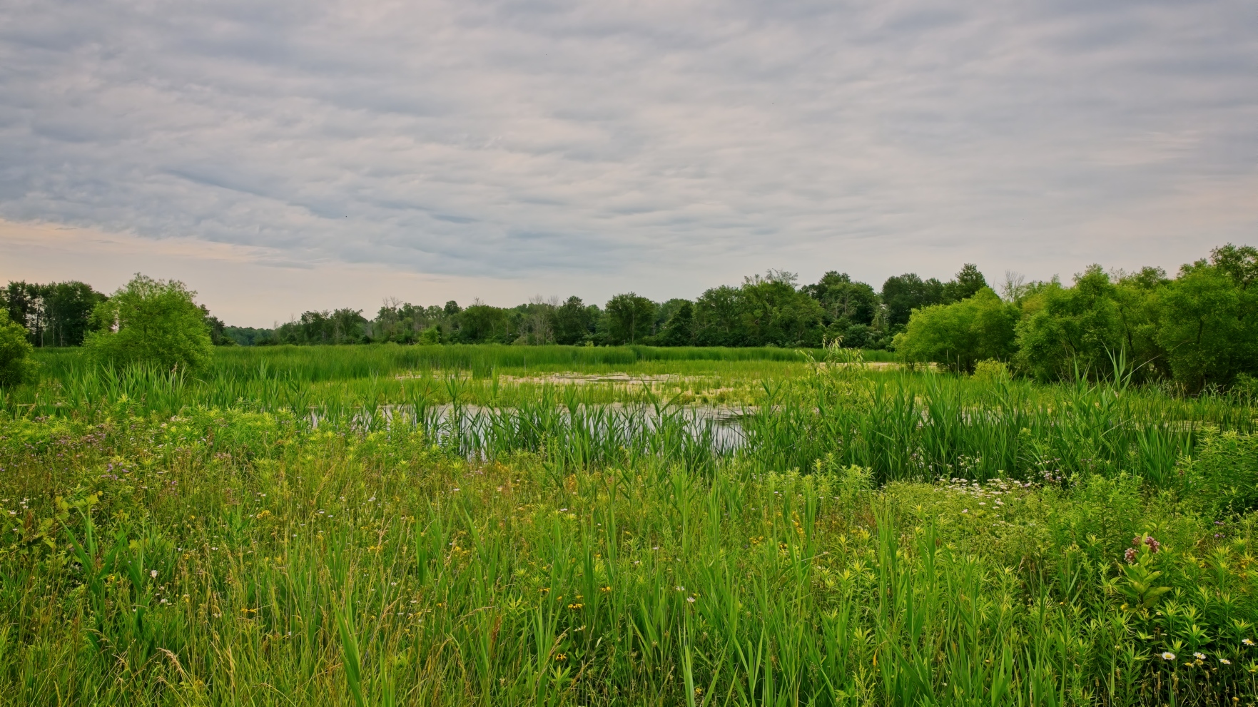 Iroquois National Wildlife Refuge