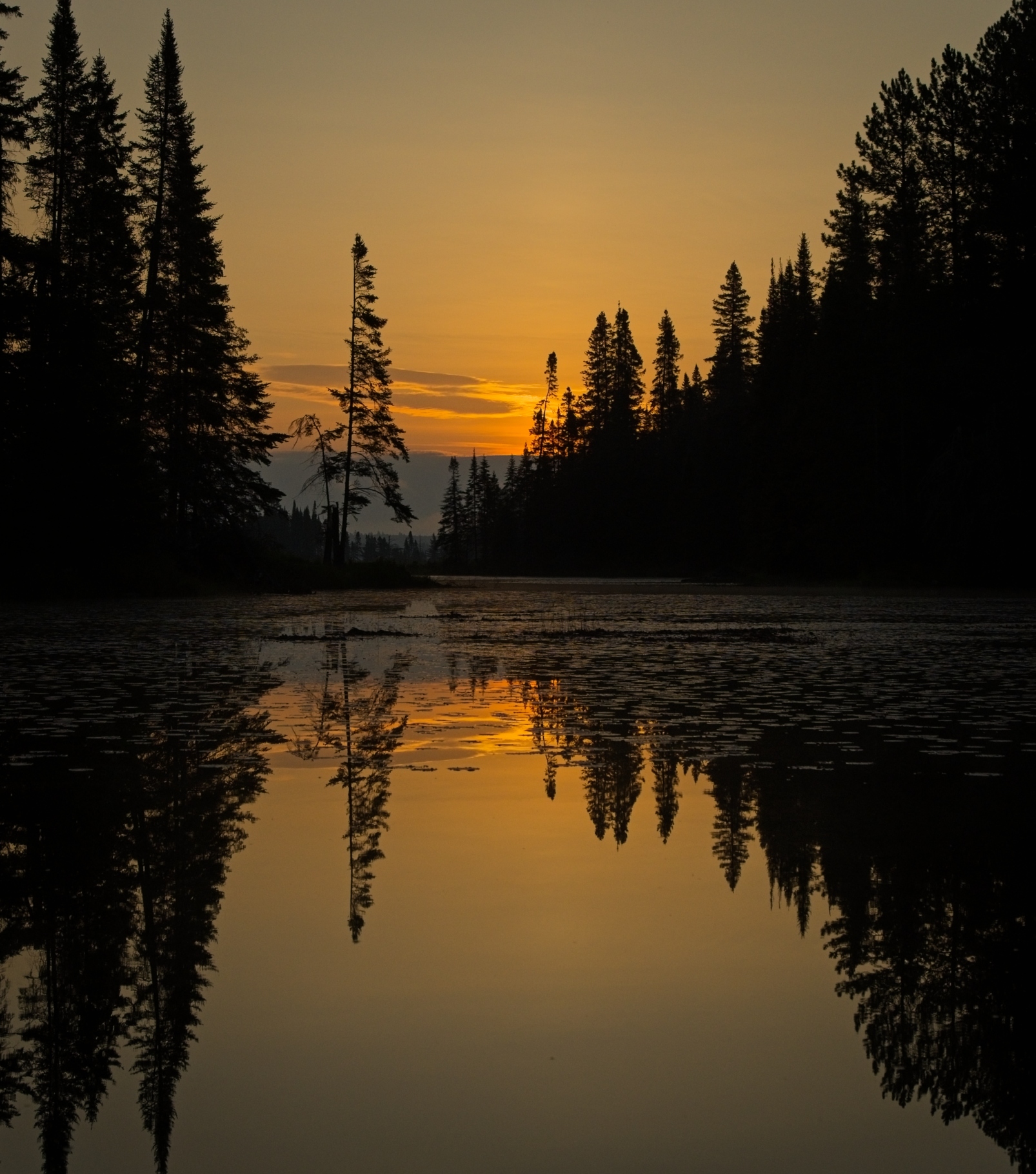 Sunrise over Lake Opeongo, Algonquin Park, Ontario, Canada by Pierre Williot