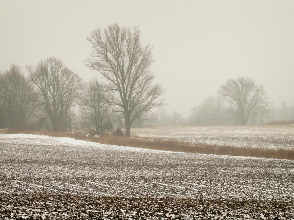 Wintery Farmland by Pierre Williot