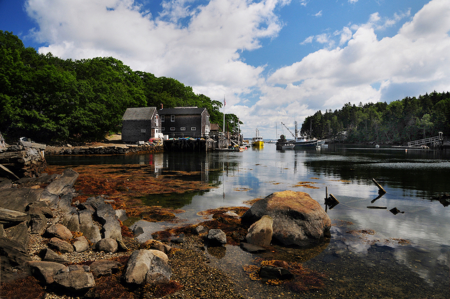 Back Cove, New Harbor ME by Tom Buckard