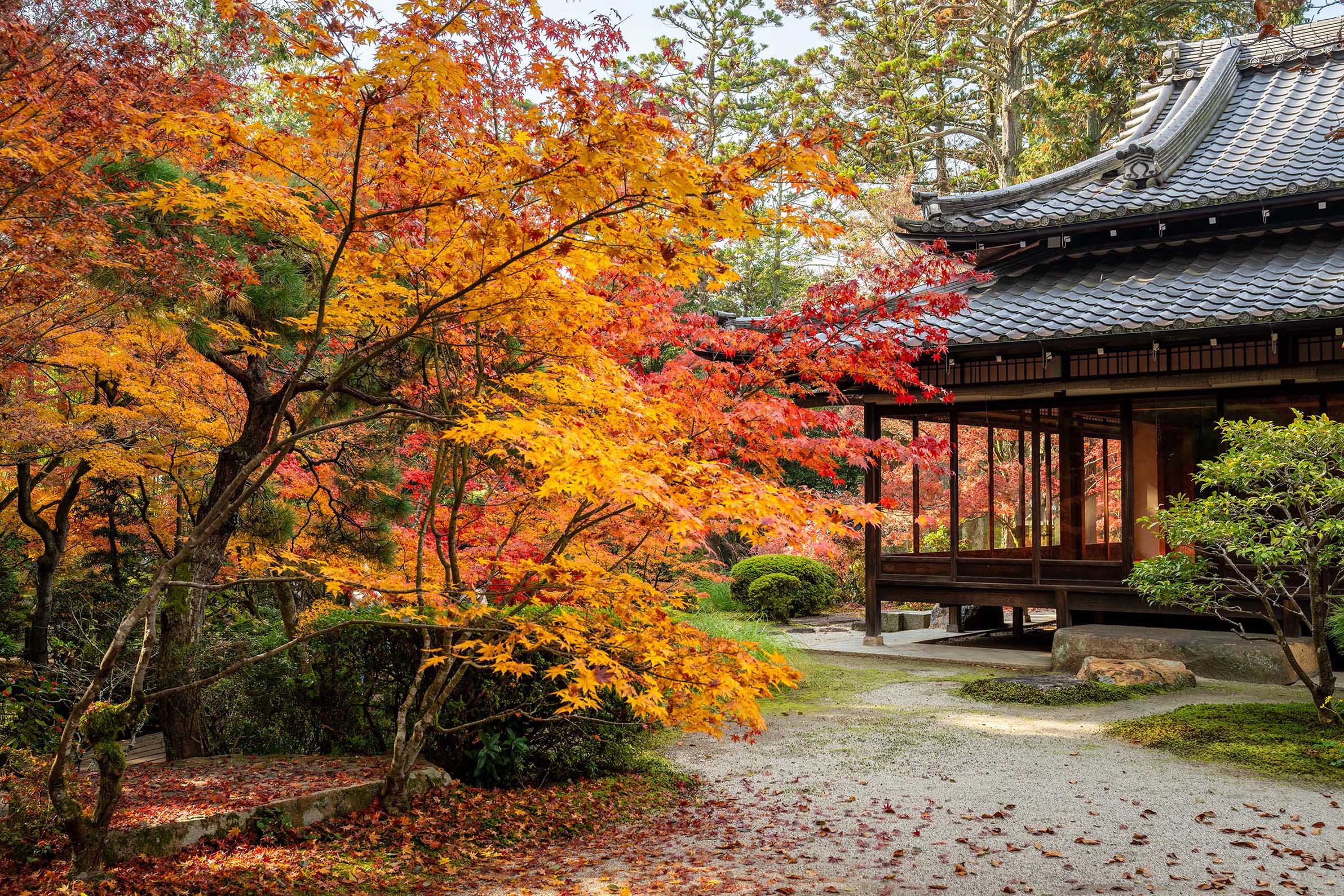 Color at Kyoto Japan by John Zhu