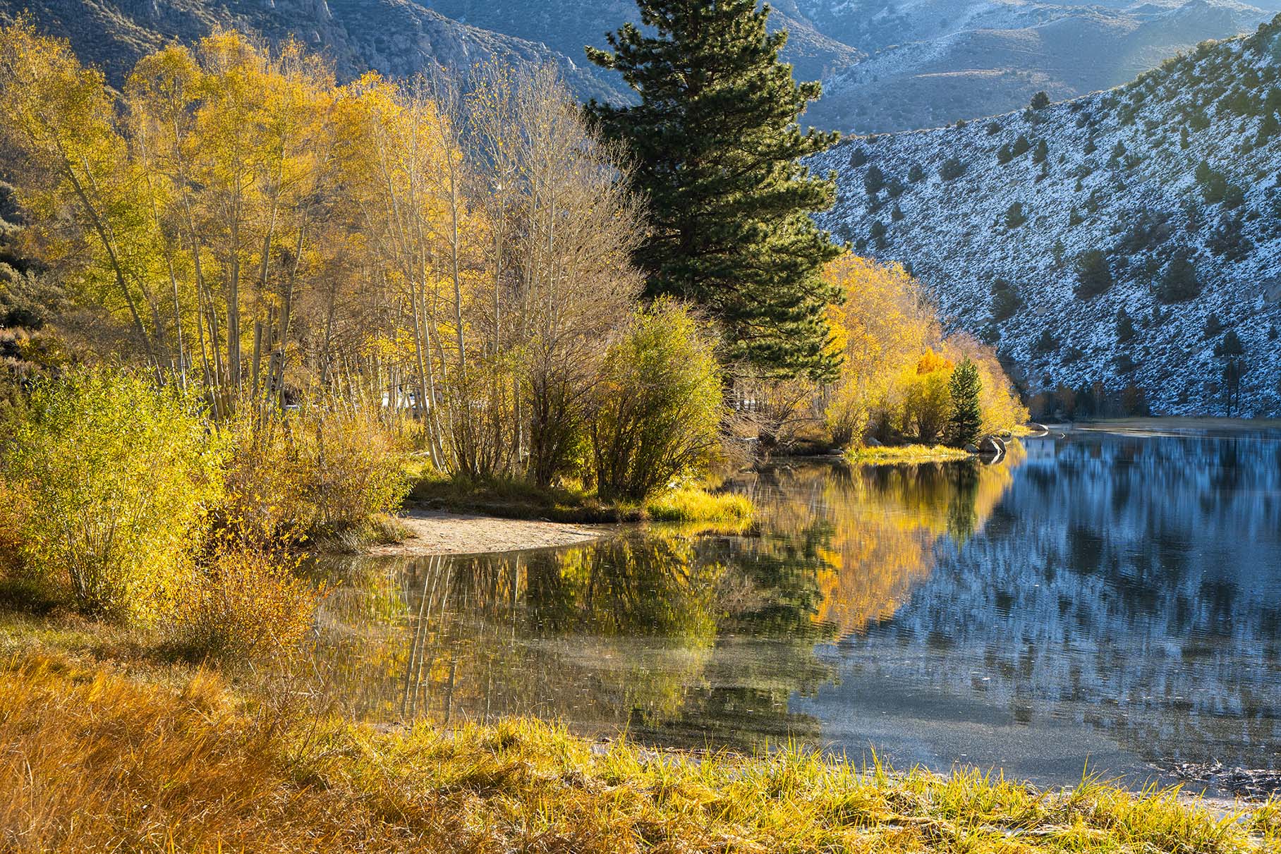 Morning Light at Bishop Creek Canyon