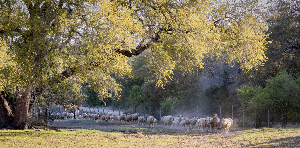 Heading Home by Mike Patterson