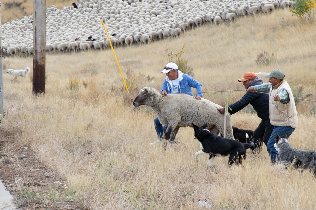 November 2025 - Mike Patterson