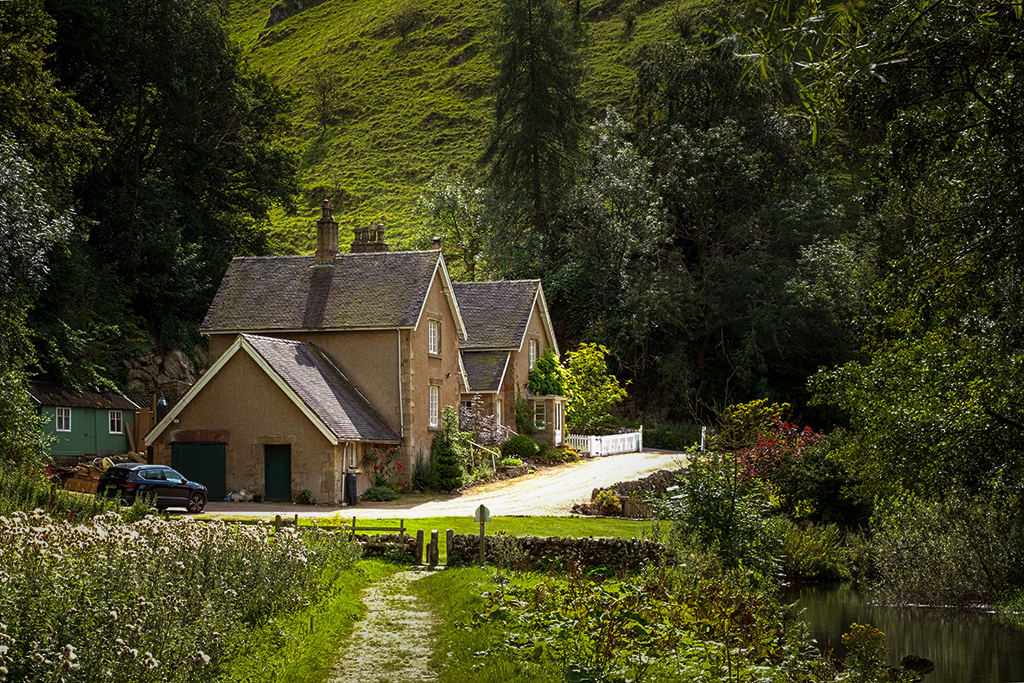 The Cottage in the Woods by Nigel Dalton