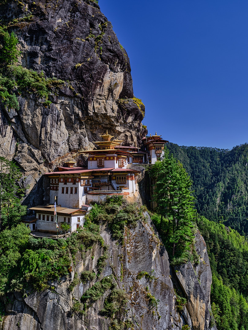 Tiger Nest by Michele Borgarelli
