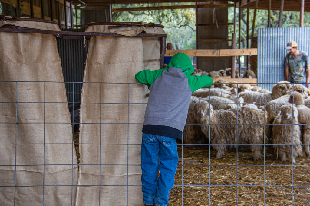 Watching the Goats by Mike Patterson