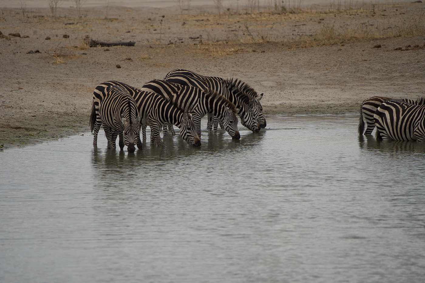 November 2025 - Maria Small