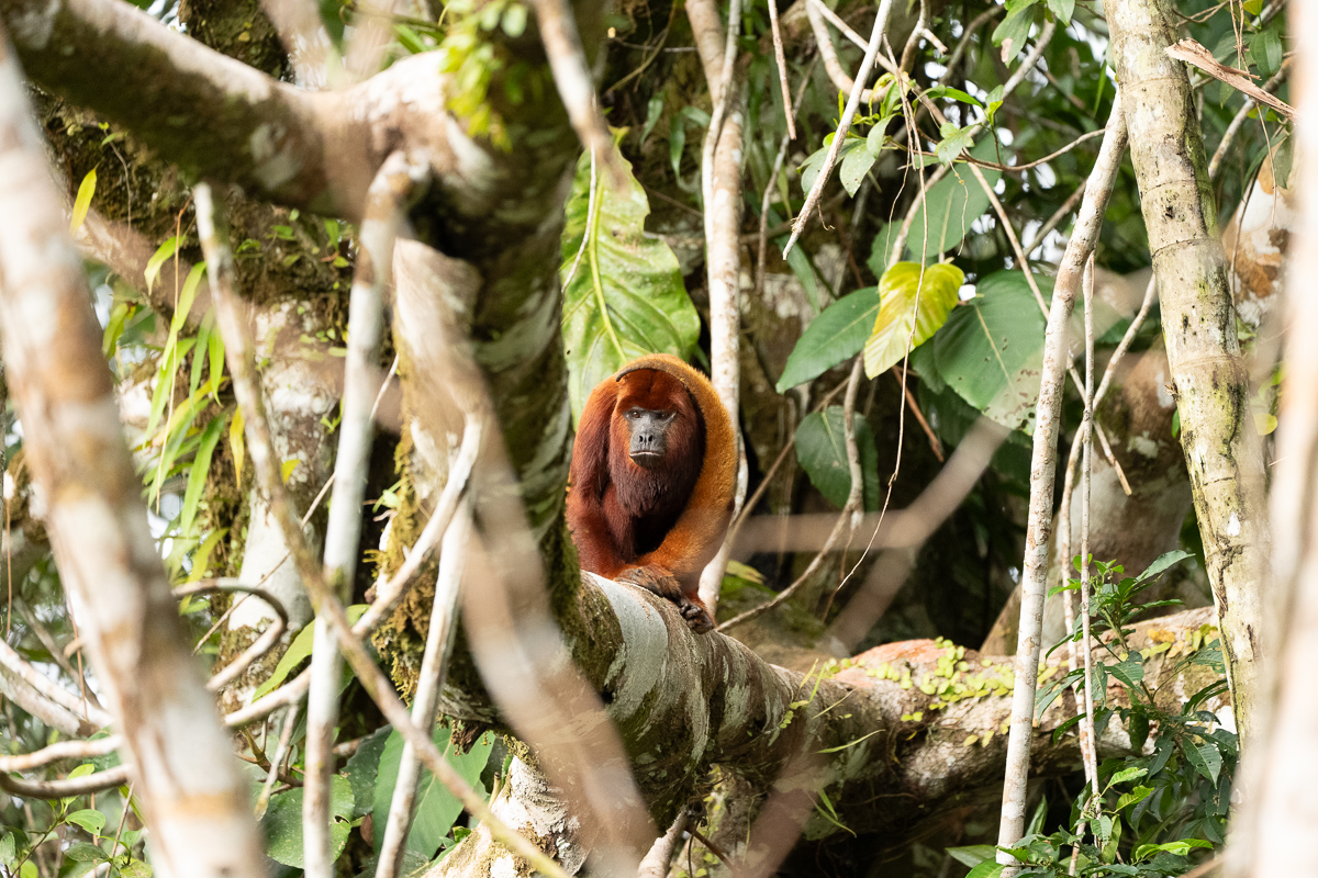 November 2025 - Karen Kratz