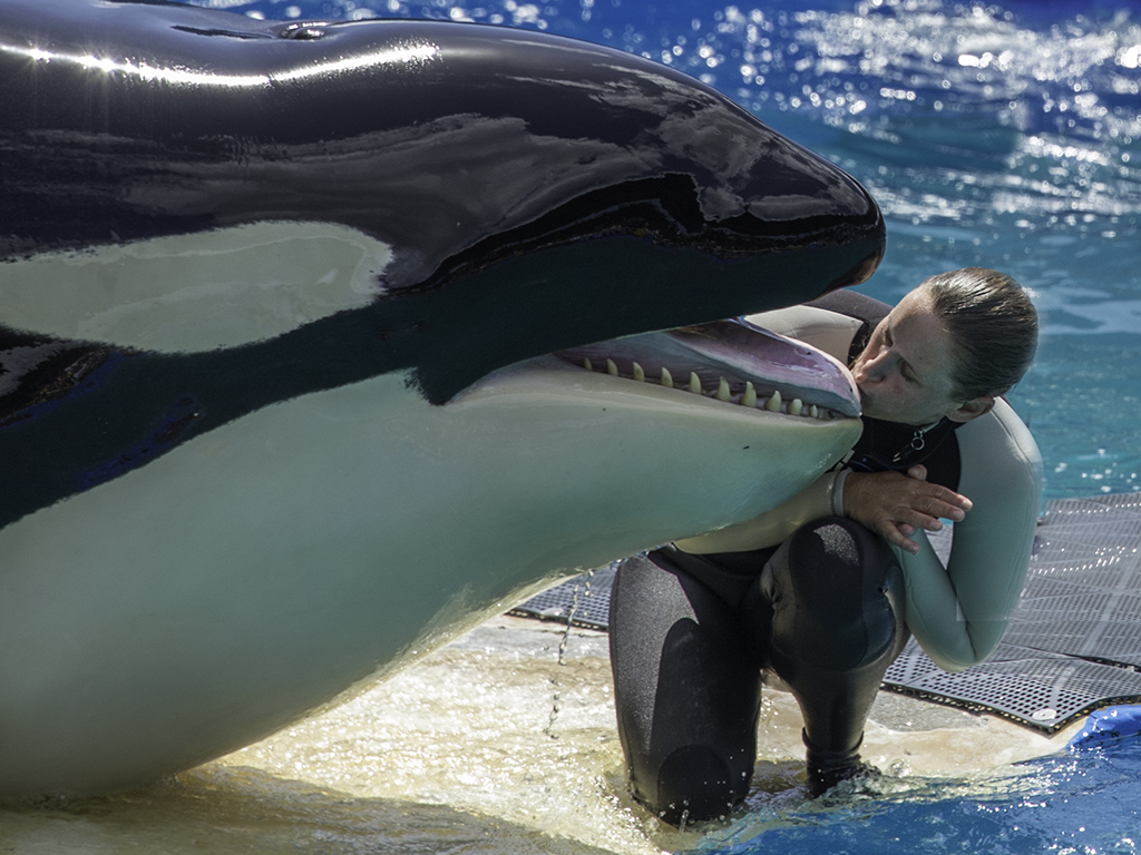 In Memoriam by Dr Isaac Vaisman