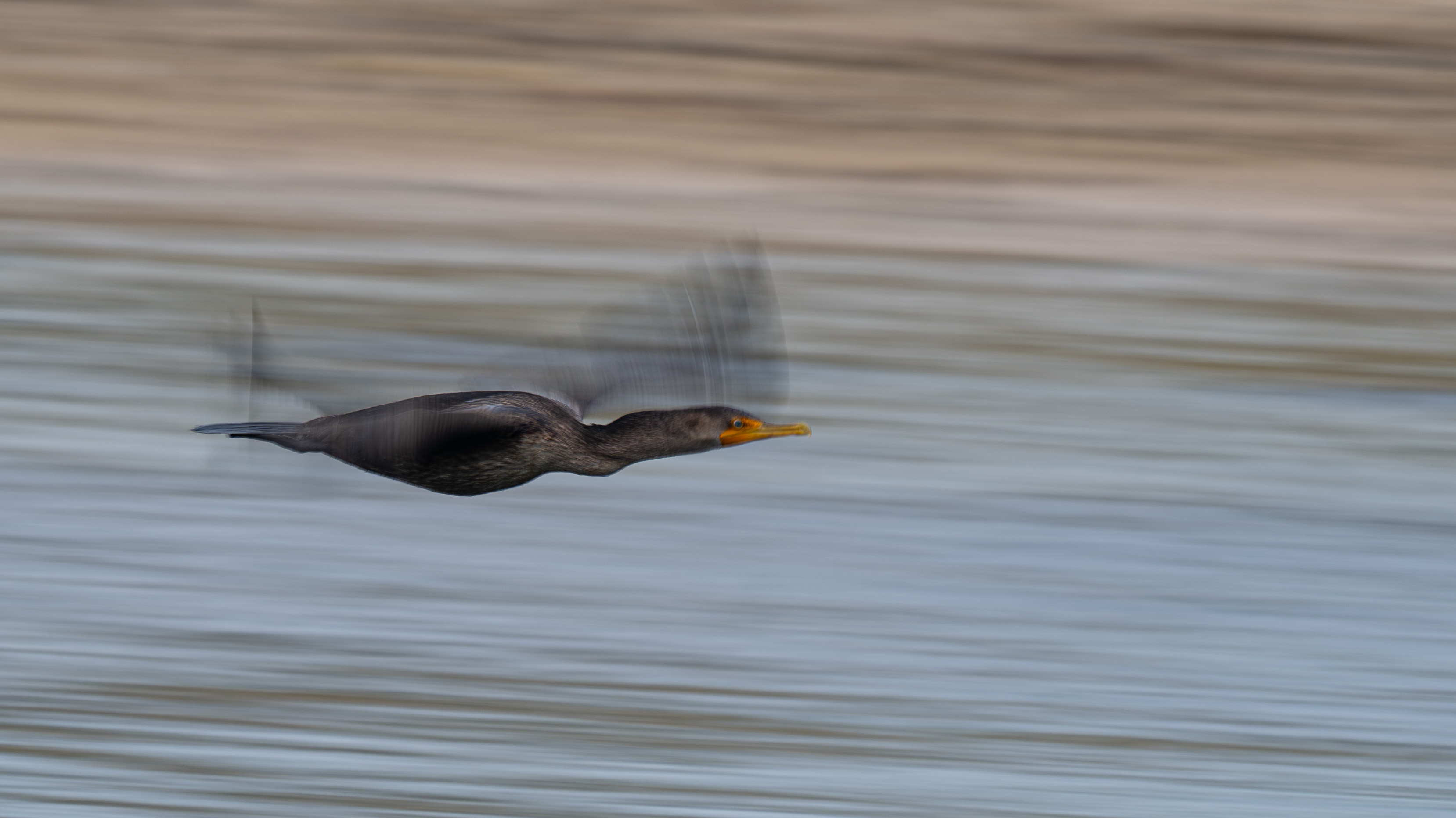 Panning by Richard Goldenberg