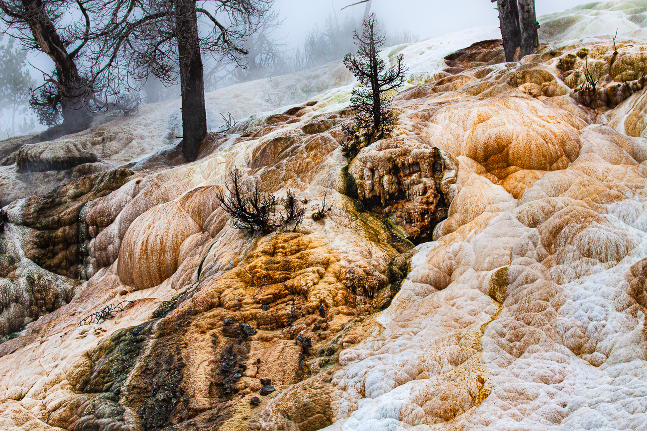 Mammoth Limescale Waterfalls by Adrian Binney