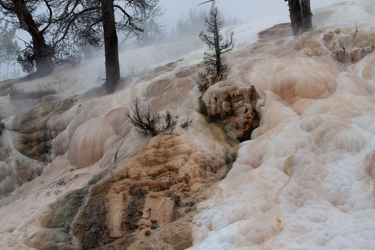 November 2025 - Adrian Binney, EPSA, LRPS