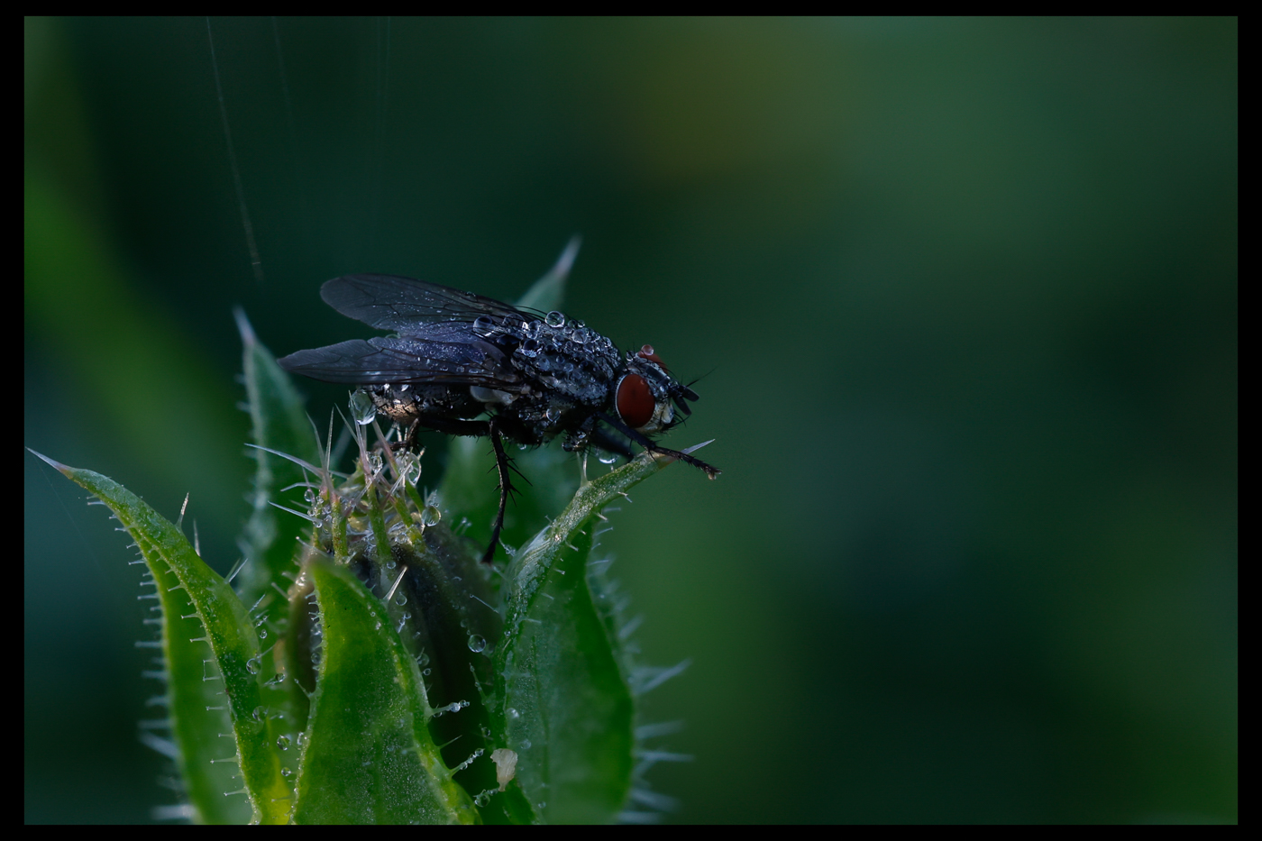 December 2025 - Maria Mazo, PPSA