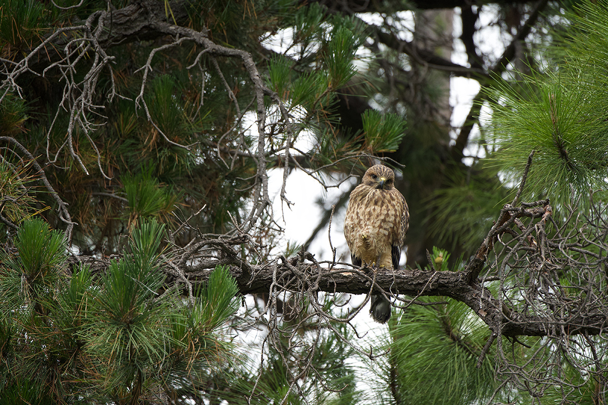 April 2026 - Maria Small