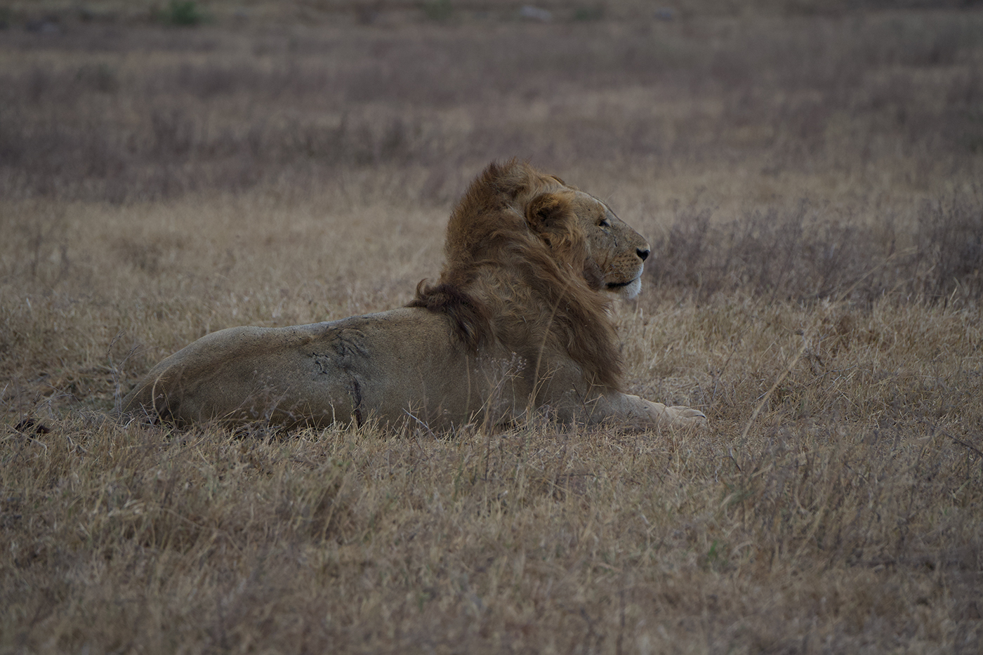 December 2025 - Maria Small