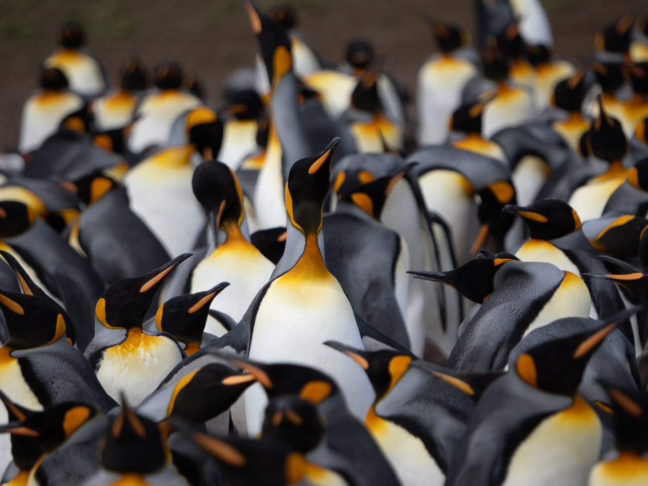 April 2026 - Adrian Binney, EPSA, LRPS