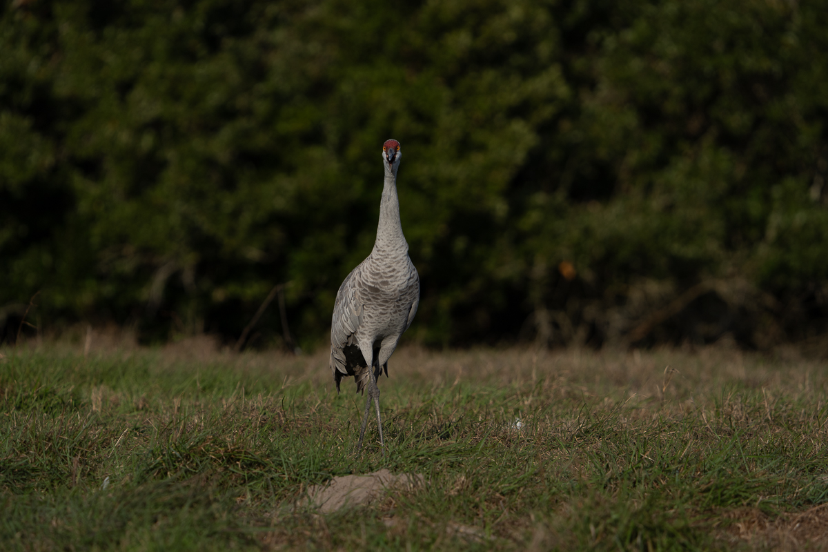 December 2025 - Karen Kratz