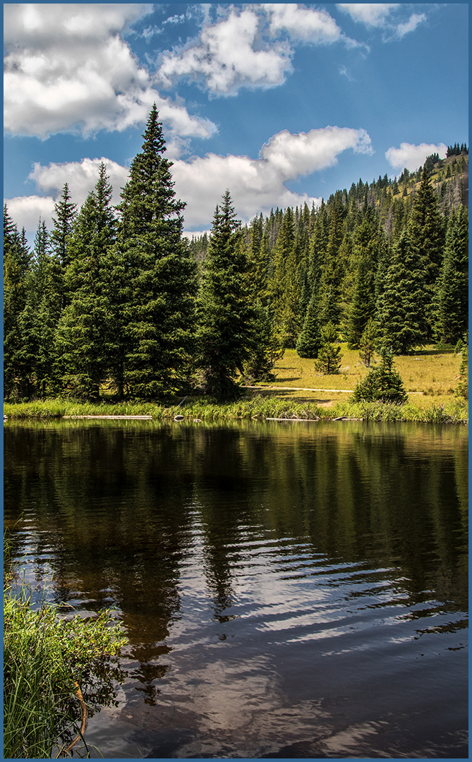 Lake Irene by Mary Frost