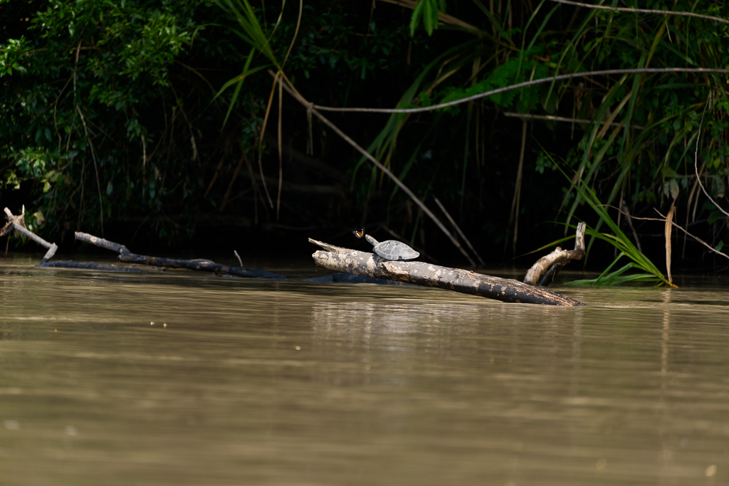 April 2026 - Karen Kratz