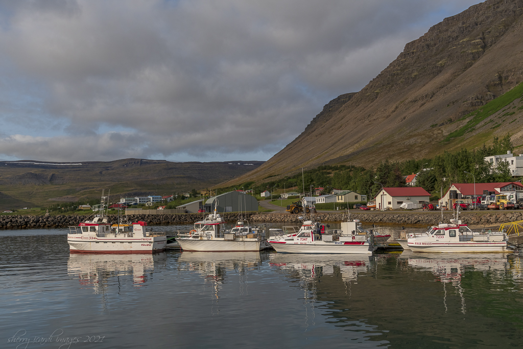 Icelandic Fishing Village by Sherry Icardi