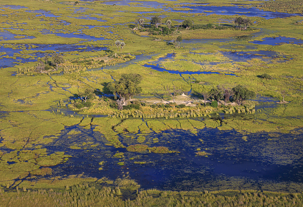Okavango Delta by Gary Jones