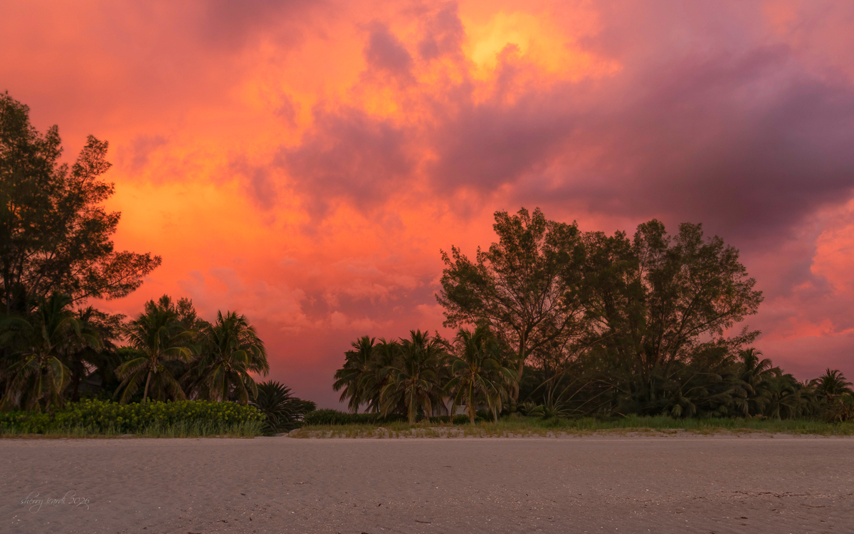 Captiva Sunset 2019 by Sherry Icardi