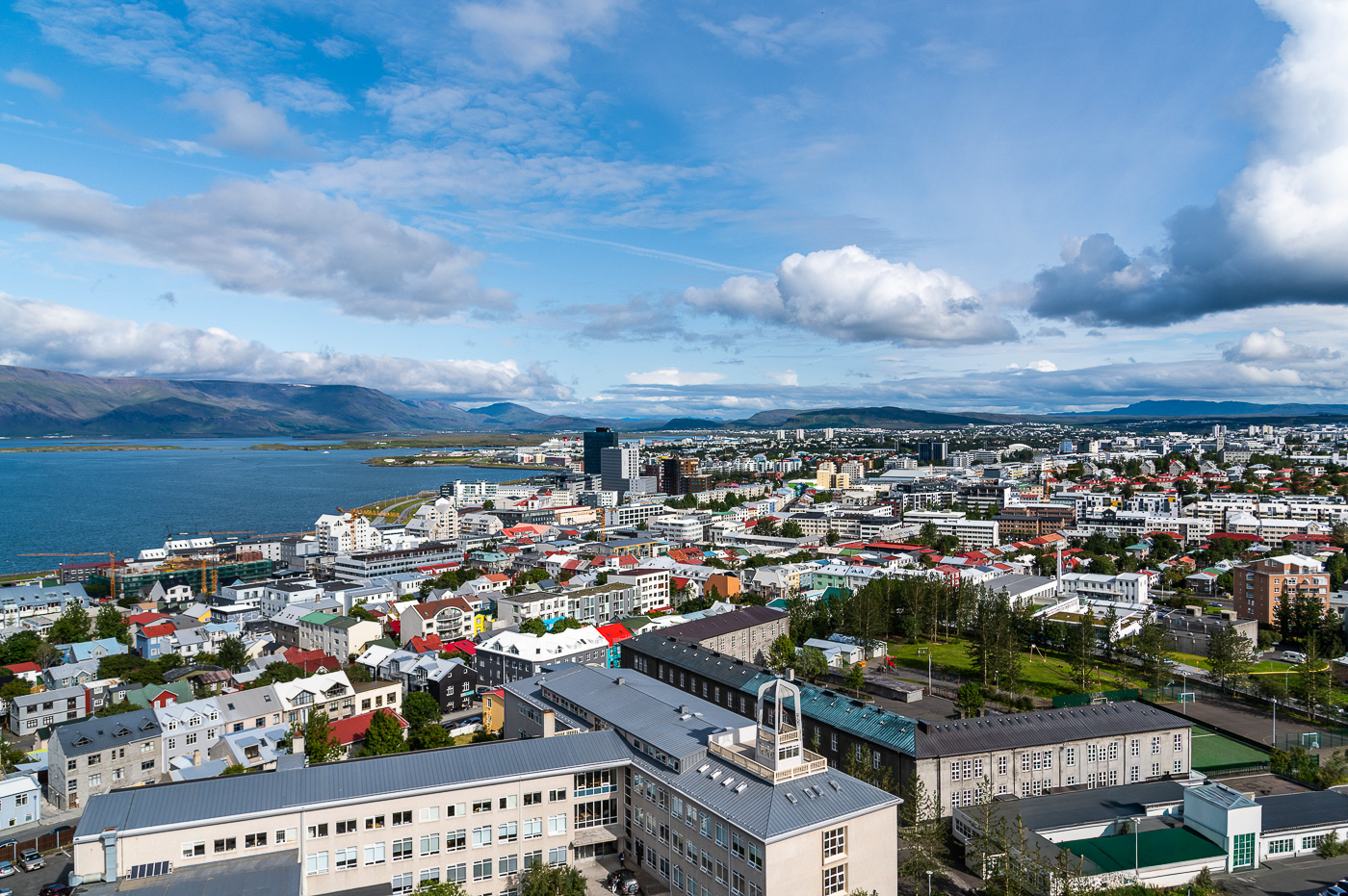 Reykjavic Skyline  by Sherry Icardi