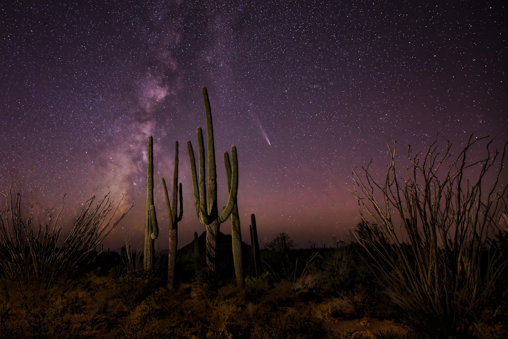 A Night in the Desert by Butch Mazzuca