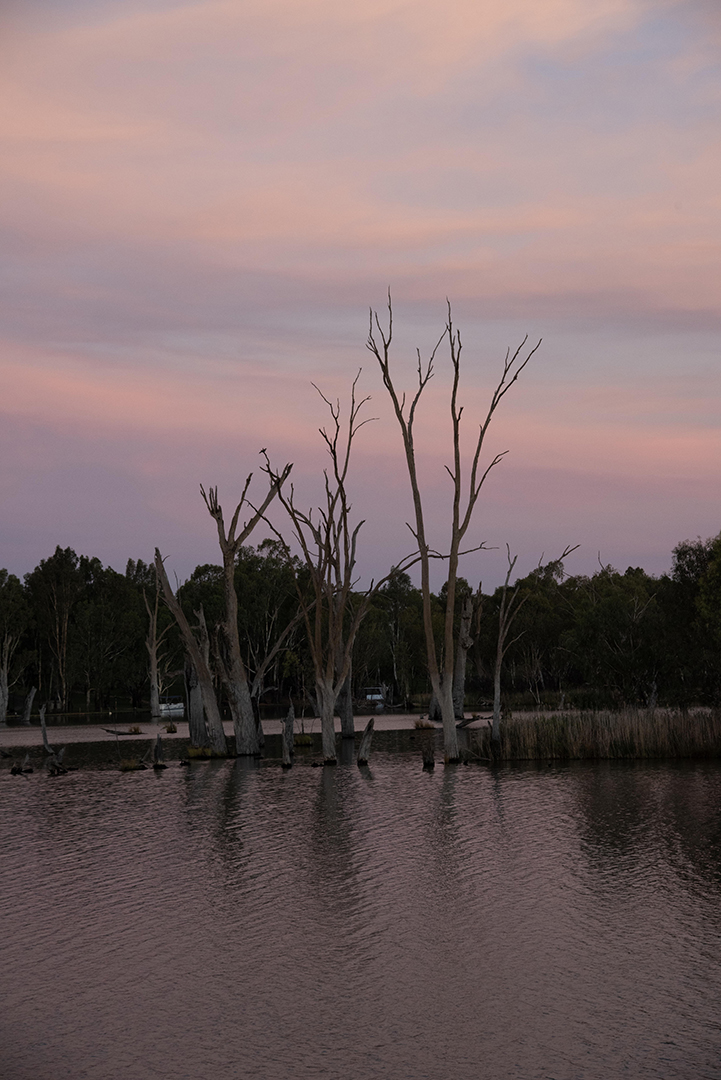 April 2026 - Ian Cambourne