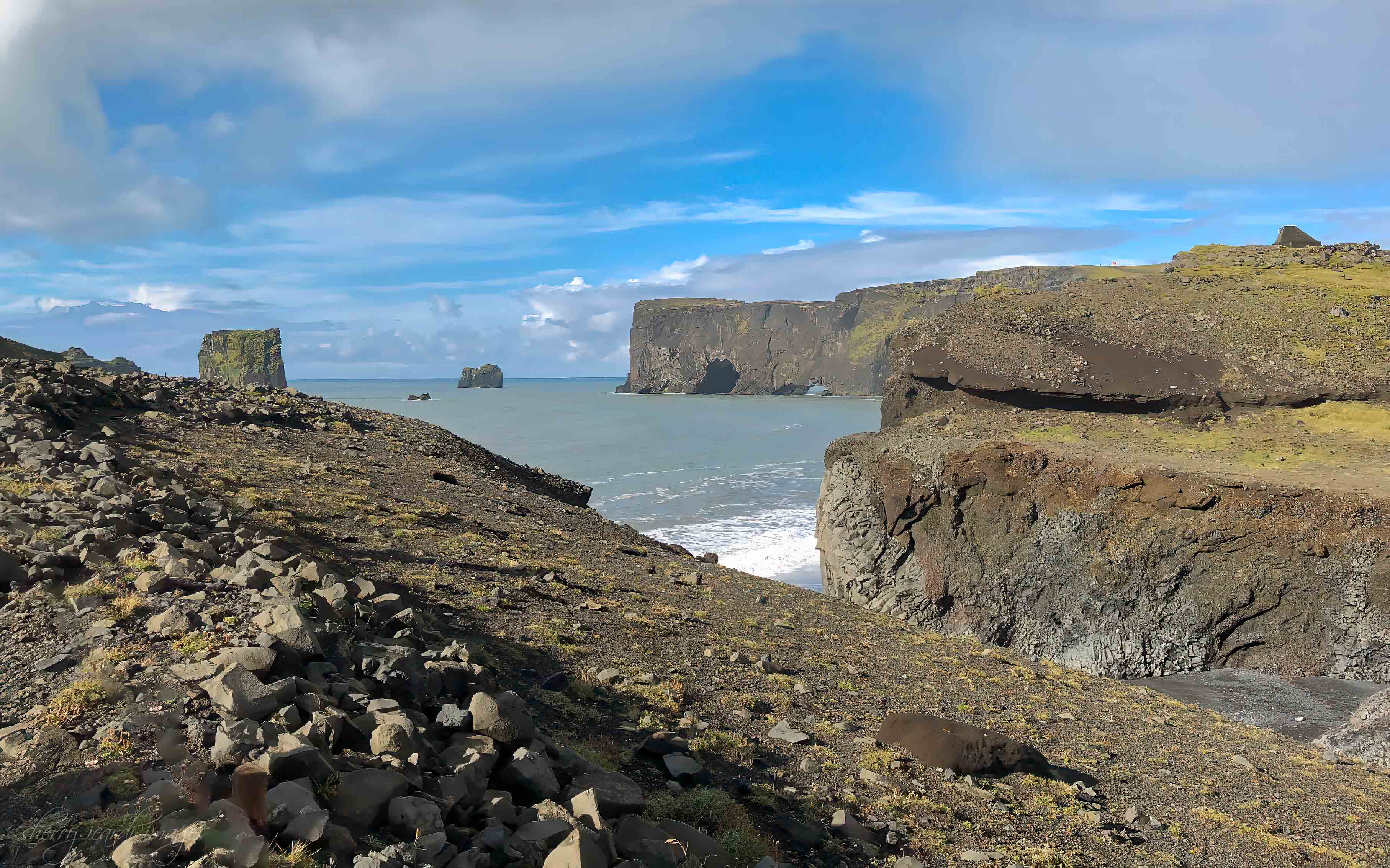 Iceland Black Beach by Sherry Icardi