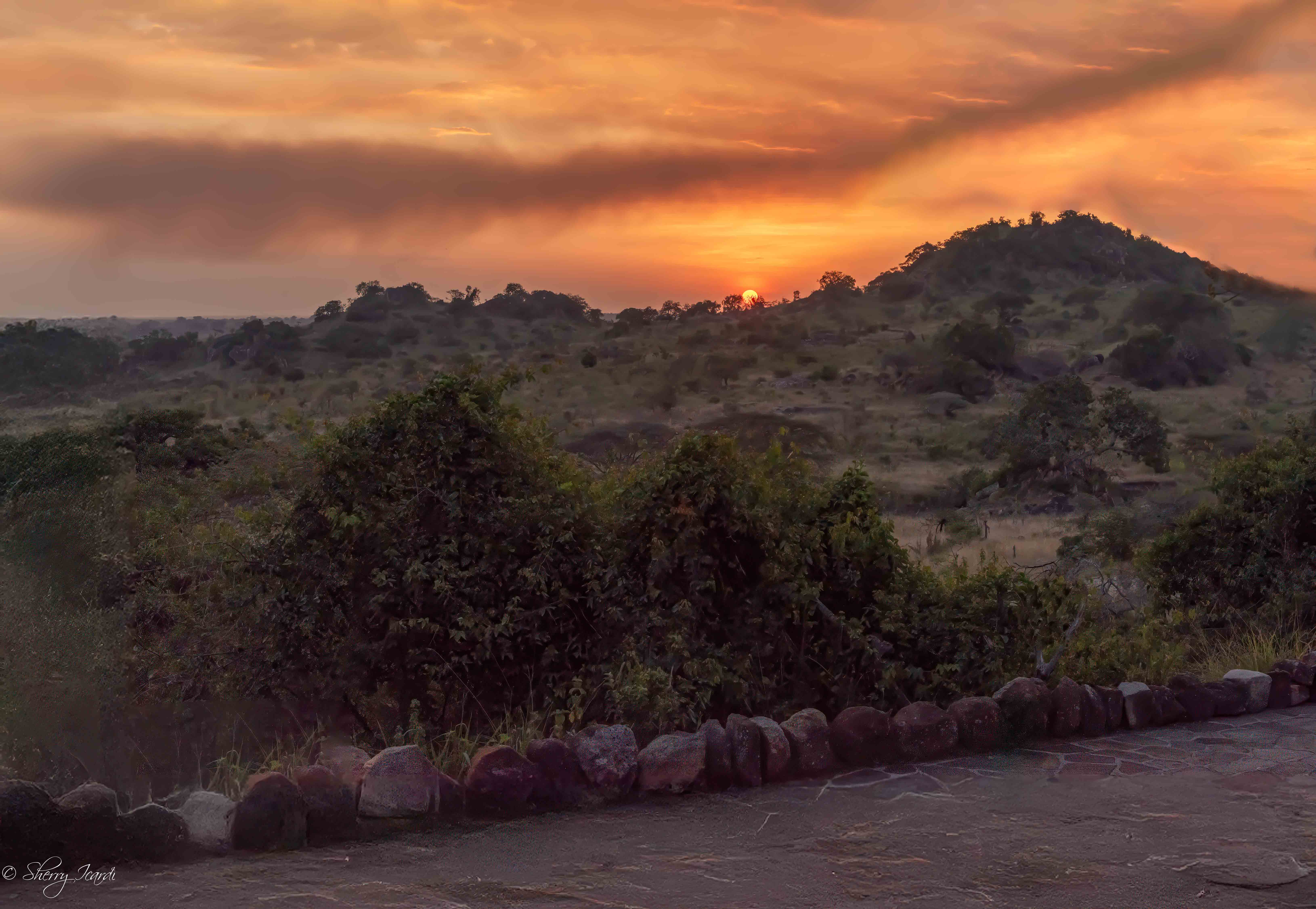 Sunset on the Serengeti by Sherry Icardi
