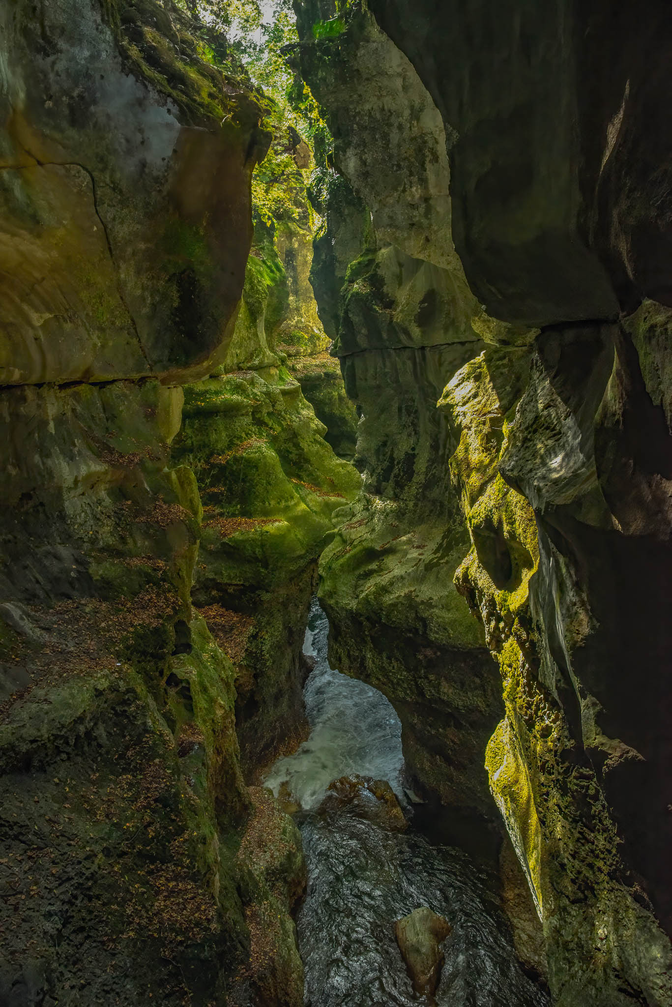 Gorges du Fer by Sherry Icardi