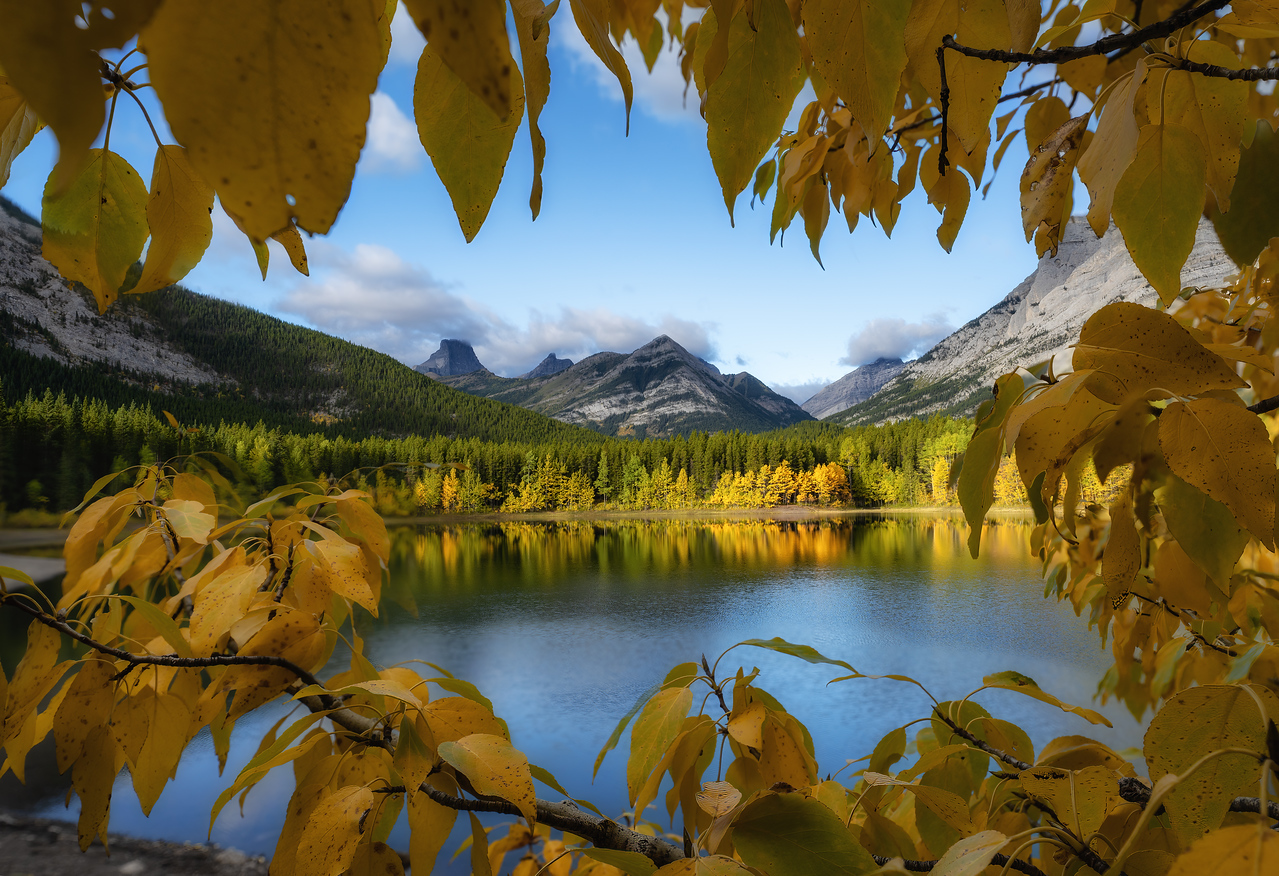 Amazing Fall Colors in Alberta by Peter Cheung