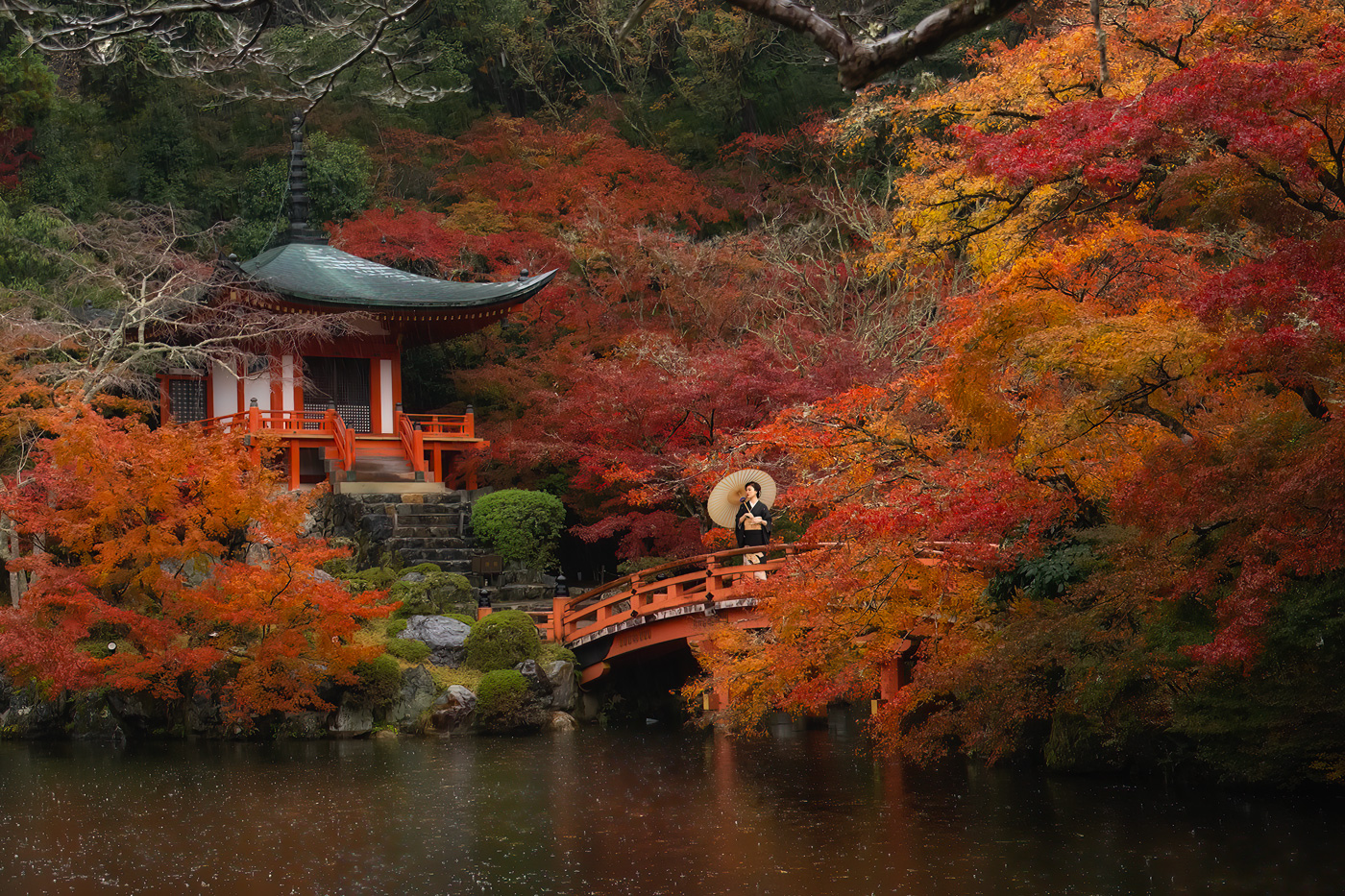 Fall Foliage in Kyoto by Peter Cheung