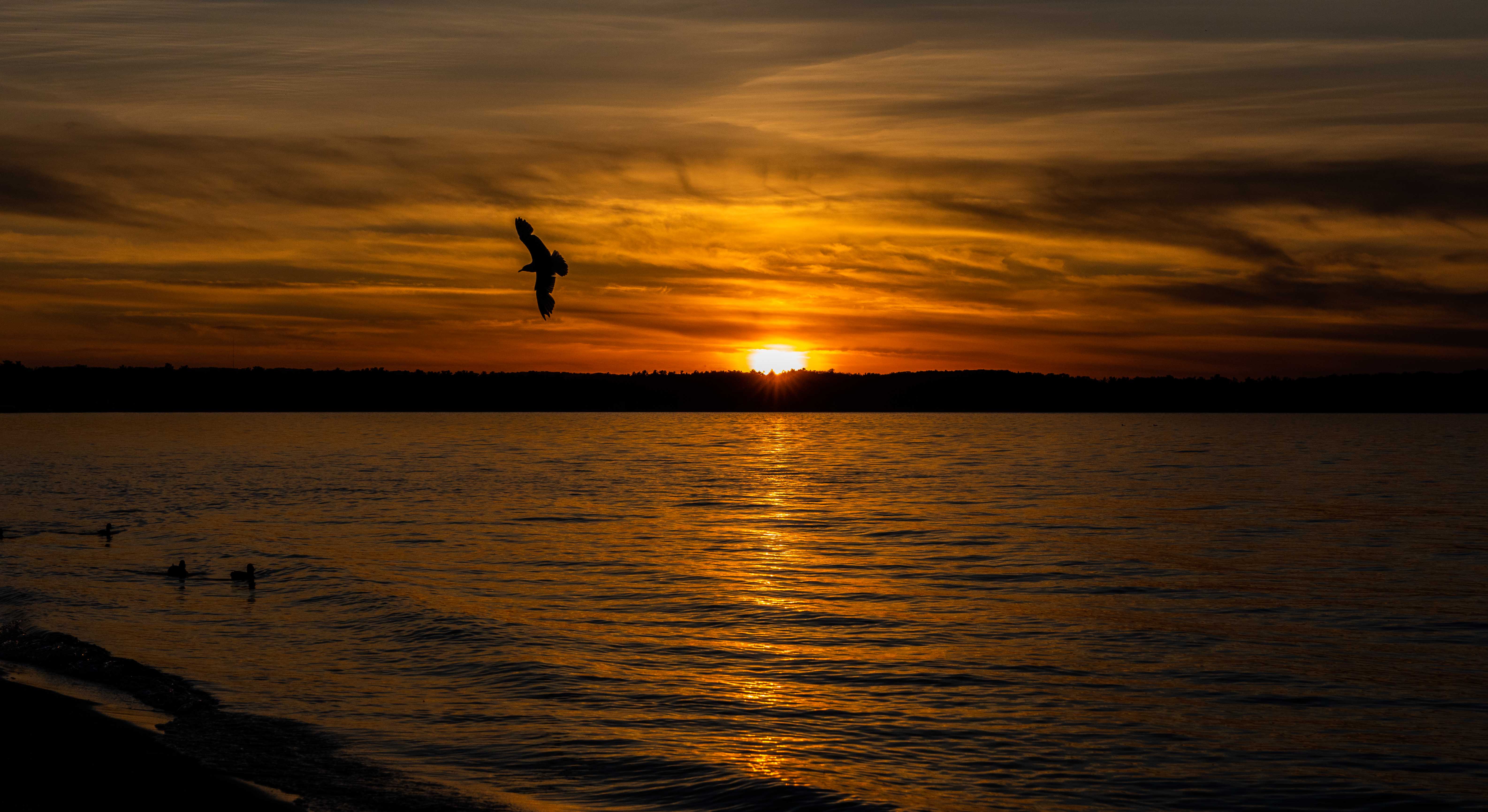 Sunset In Flight by Tom Barbernitz