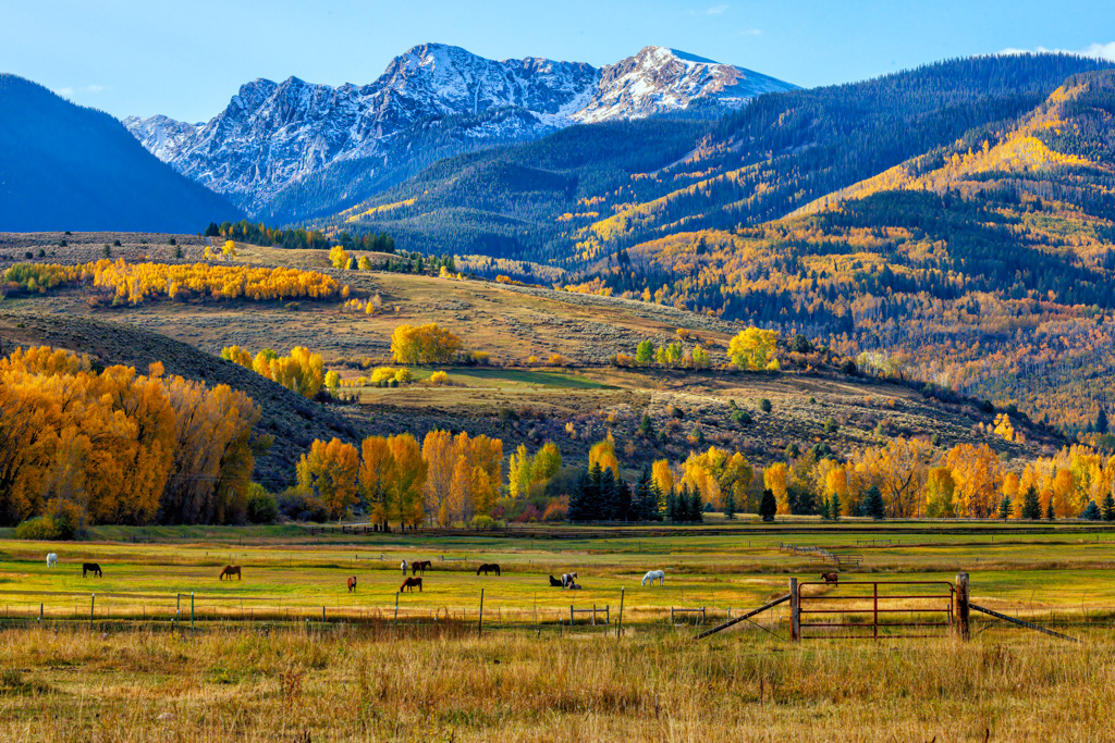 Timeless Colorado by Butch Mazzuca
