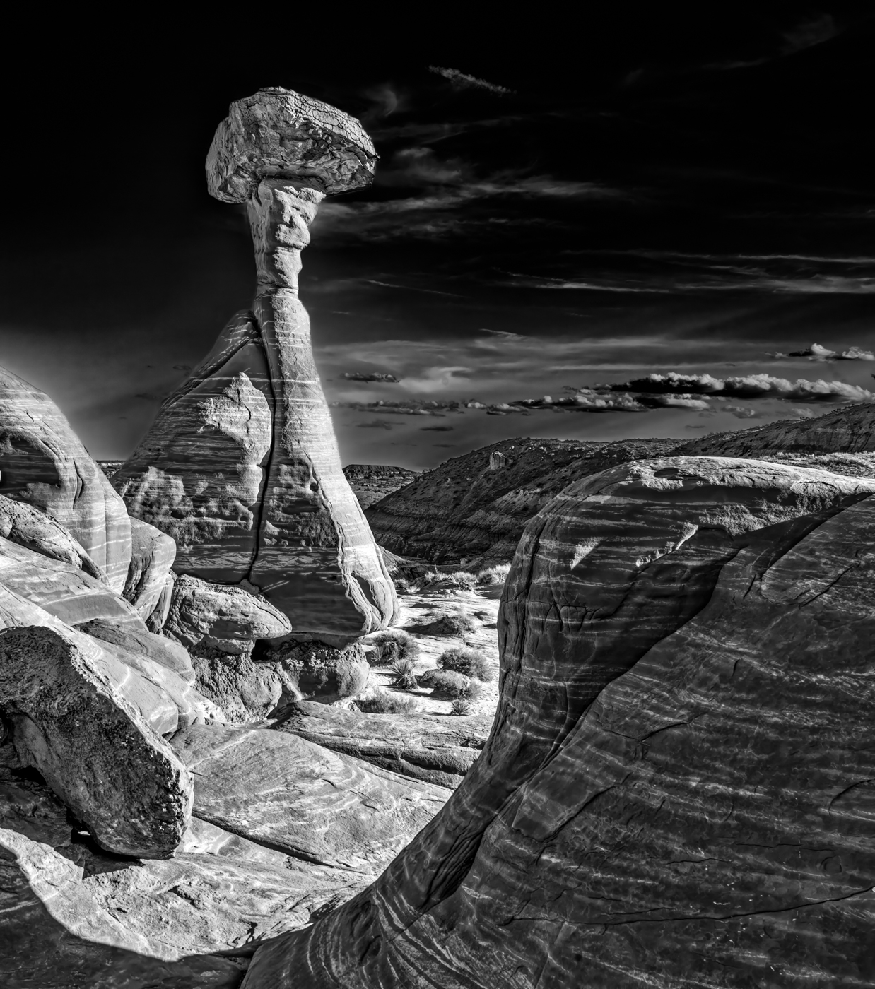 Toadstool Hoodoo by Raymond Tice