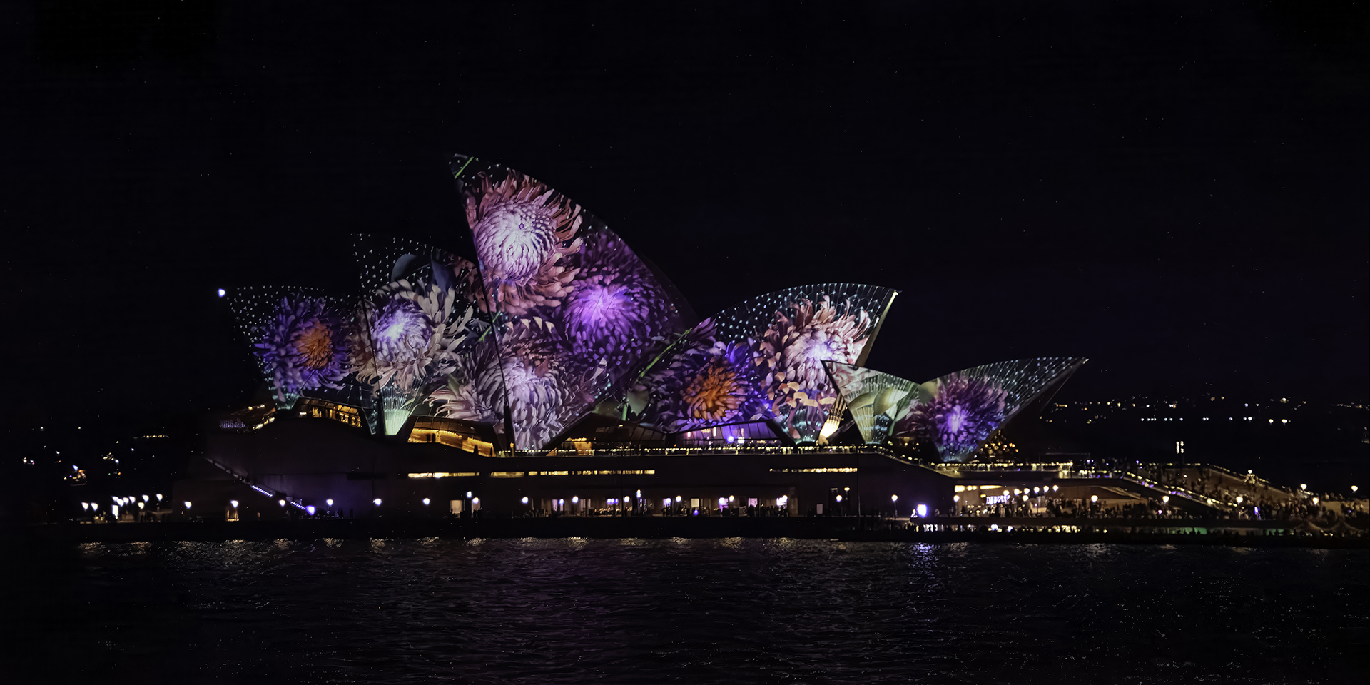 Vivid Sydney 2026
