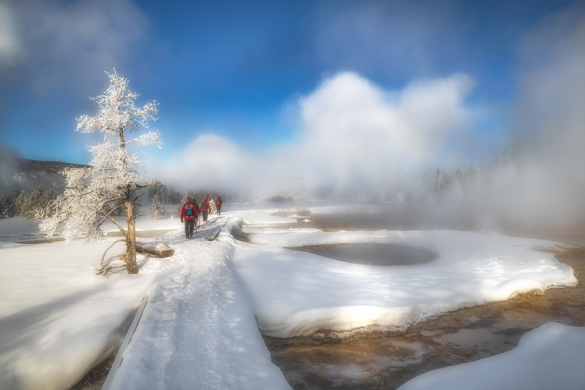 Winter Yellowstone by Peter Cheung