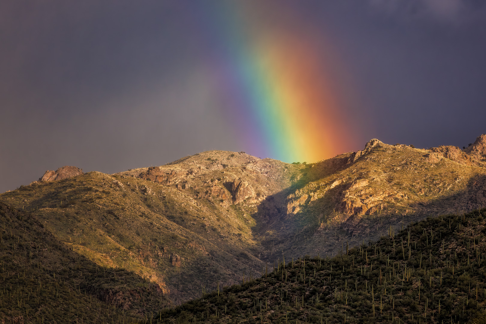 Desert Rainbow by Butch Mazzuca