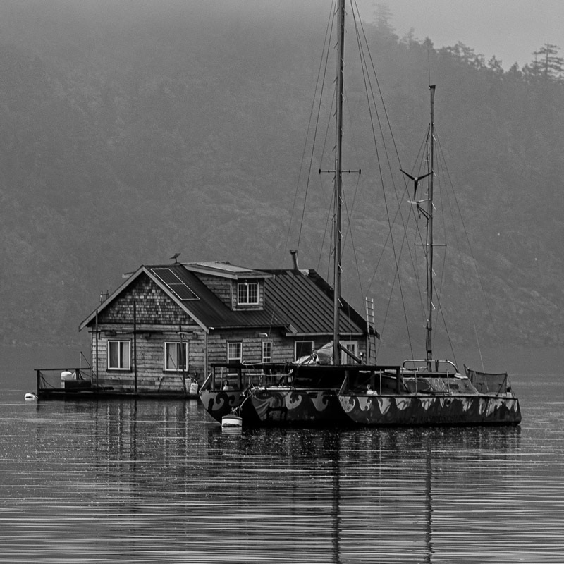 Standing out From the mist by Ed Taje