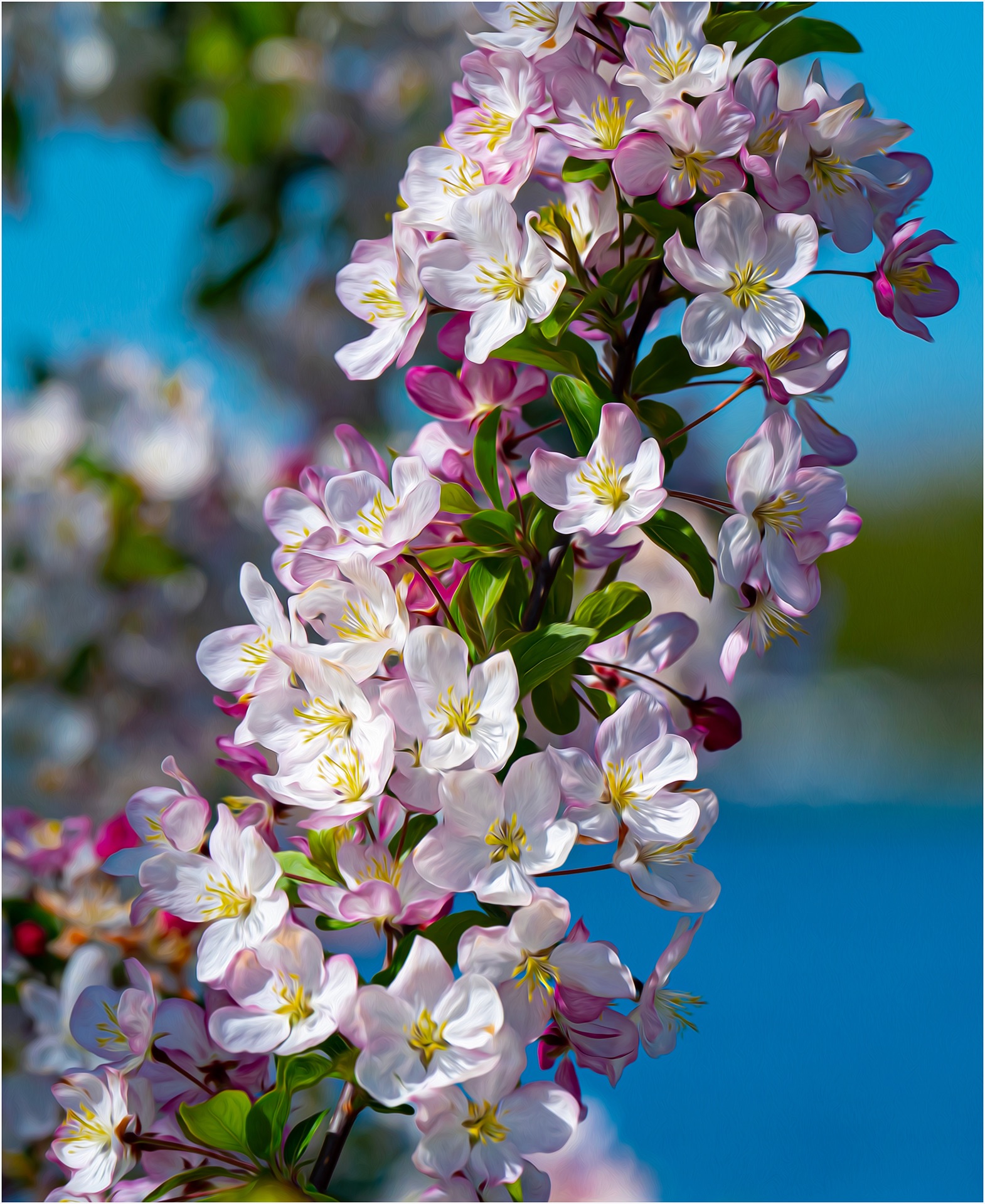Awakenings Bring Color by Alison Johnson