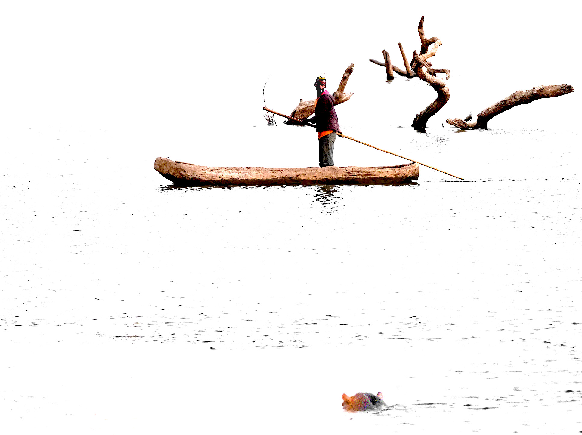 Boatman vs Hippo by Frank St-Pierre