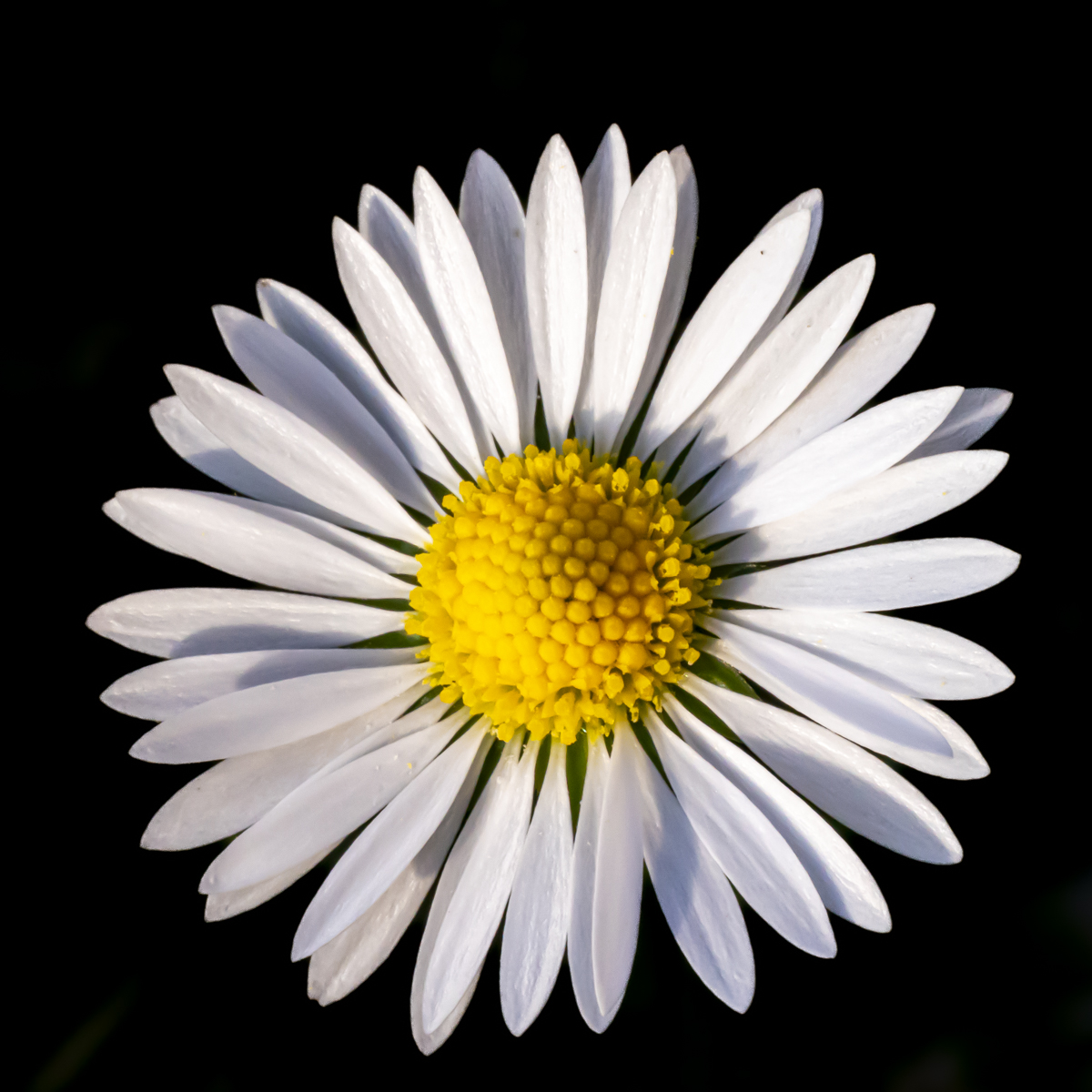 November 2025 - Vincent Cochain, EPSA