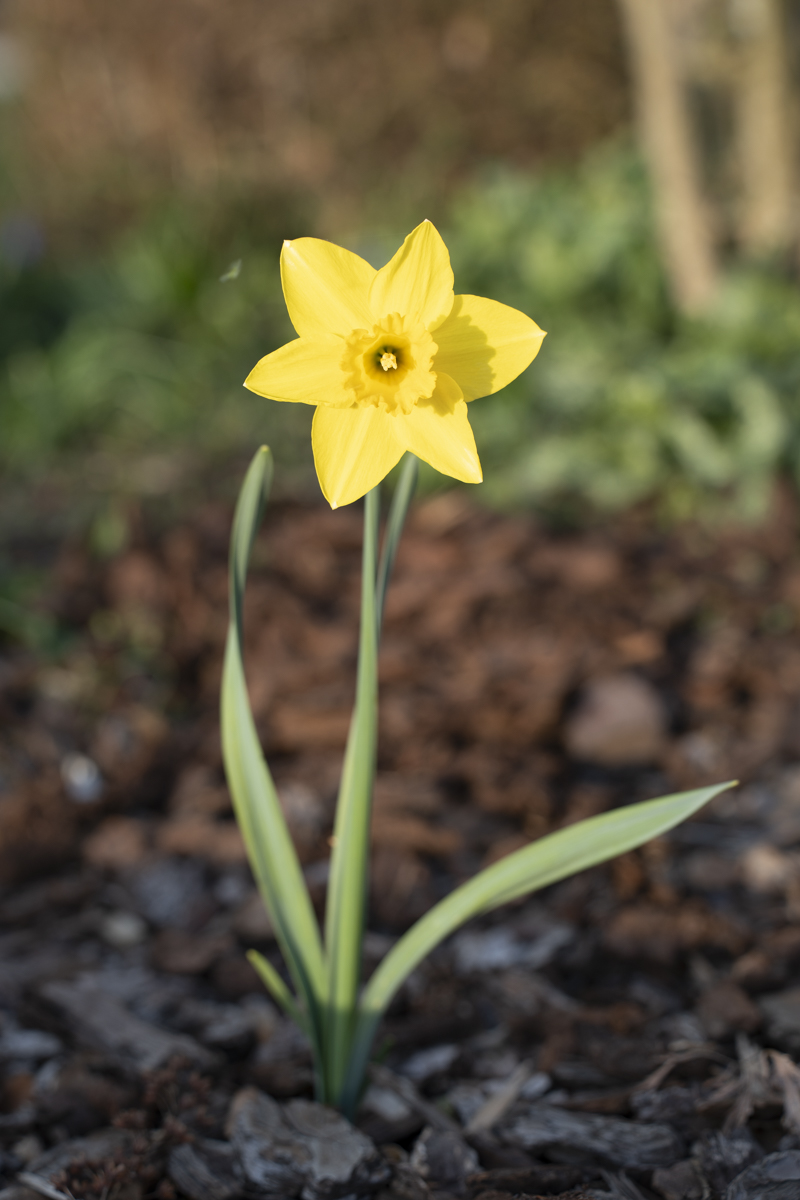 April 2026 - Vincent Cochain, EPSA