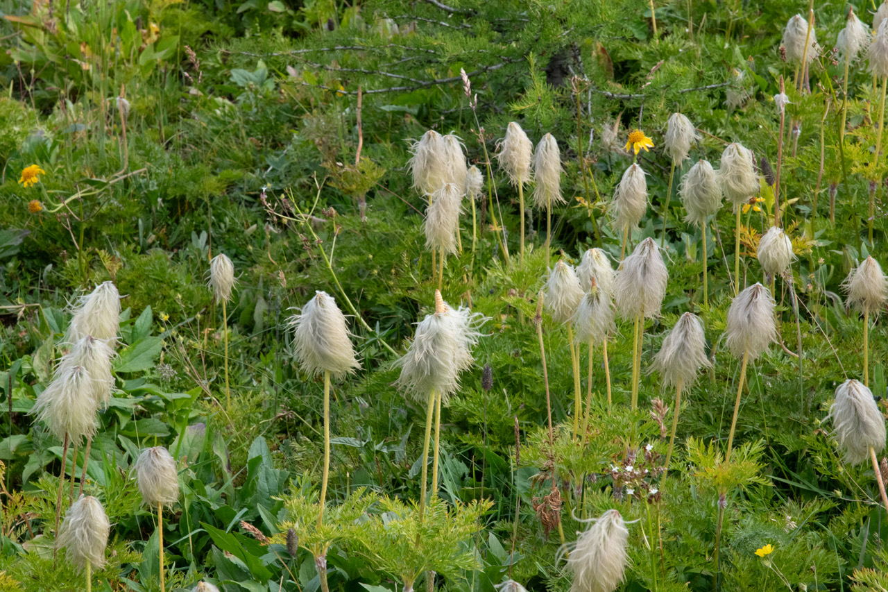 December 2025 - John Helmer