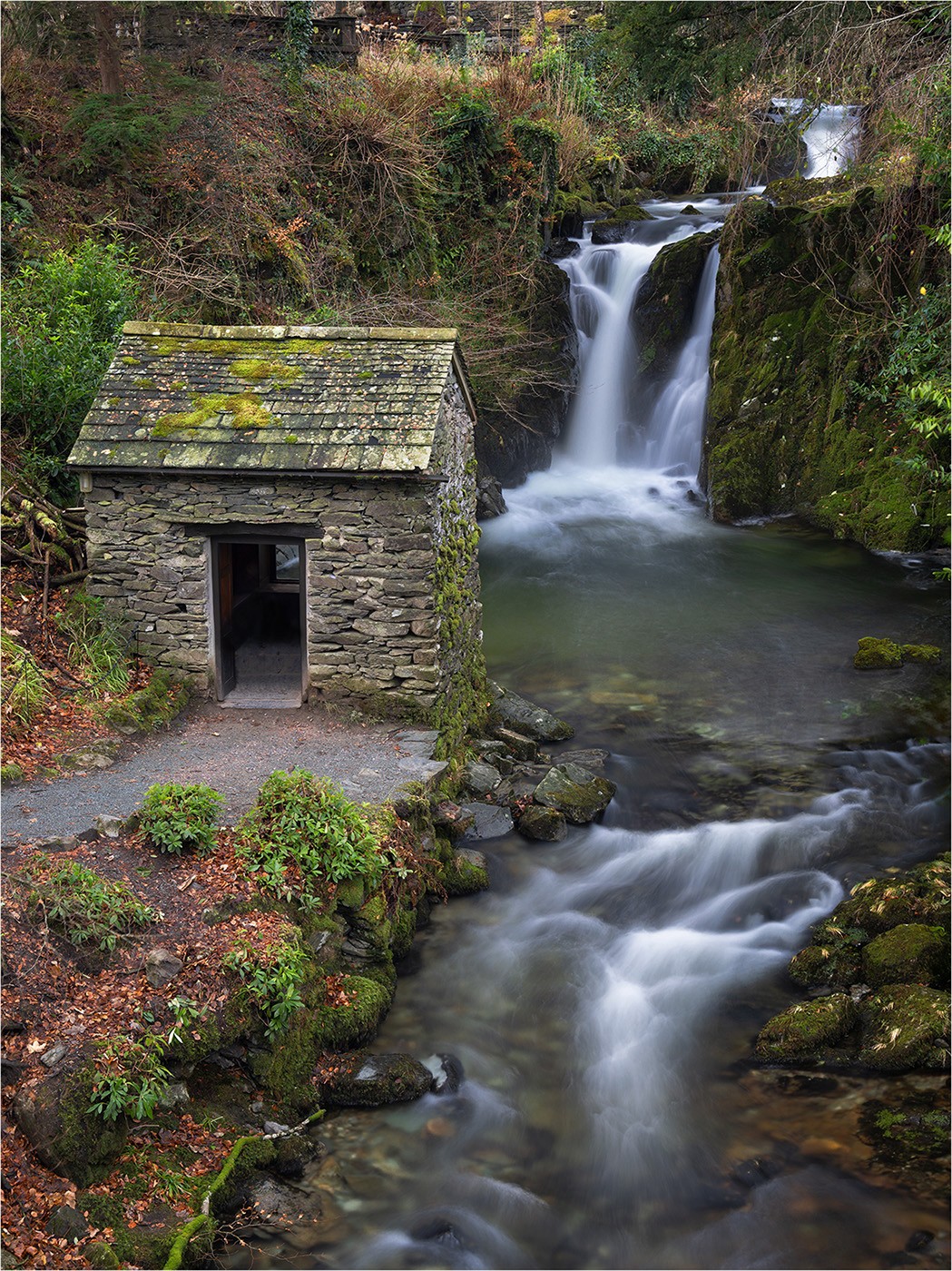 The Grot by Gordon Watson